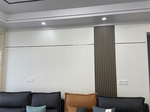 湖南森輝環保科技有限公司,衡陽高新建材研發生產銷售,墻板,新型竹木纖維墻板